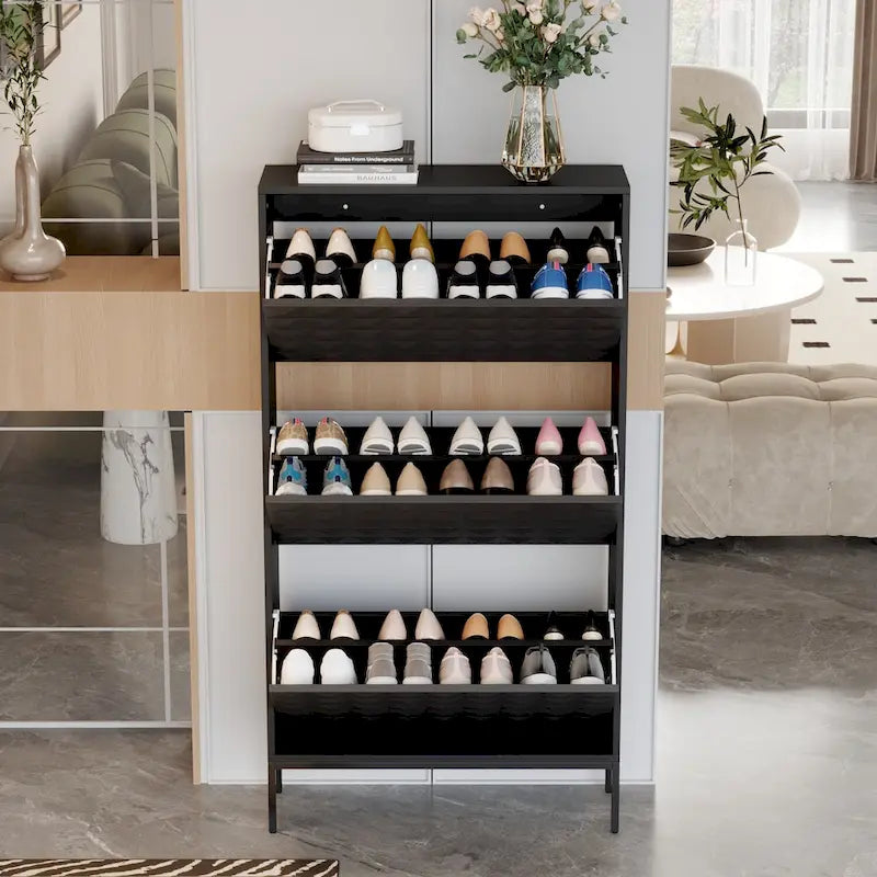 Moderner schwarzer Schuhschrank mit verborgenen Klappenfächern und vertikalem Organizer